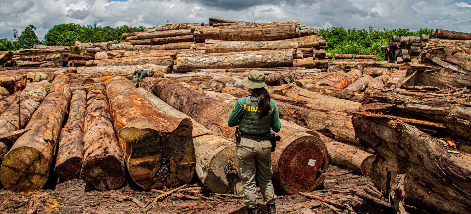 Operação Maravalha resulta em R$ 2,6 milhões em multas por exploração ilegal de madeira no AM