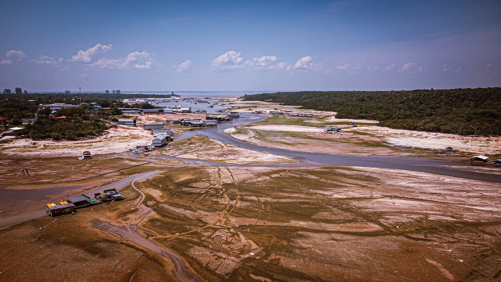 AM decreta emergência climática e ambiental por risco de impactos do fenômeno El Niño