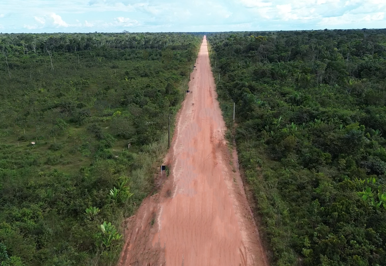 Orlando Câmara | A BR-319 precisa ir além do asfalto