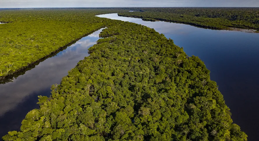 Fundo Amazônia arrecada R$ 2,6 bilhões em três anos