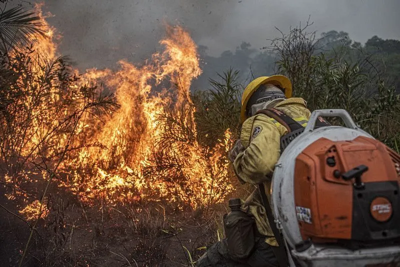 Governo Federal libera R$ 337,5 milhões para reforçar combate a incêndios florestais