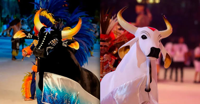Boi Caprichoso abre apresentações do Festival de Parintins; confira ordem de noites
