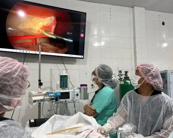 Procedimento de videocirurgia em pets passa a ser adotado em Manaus
