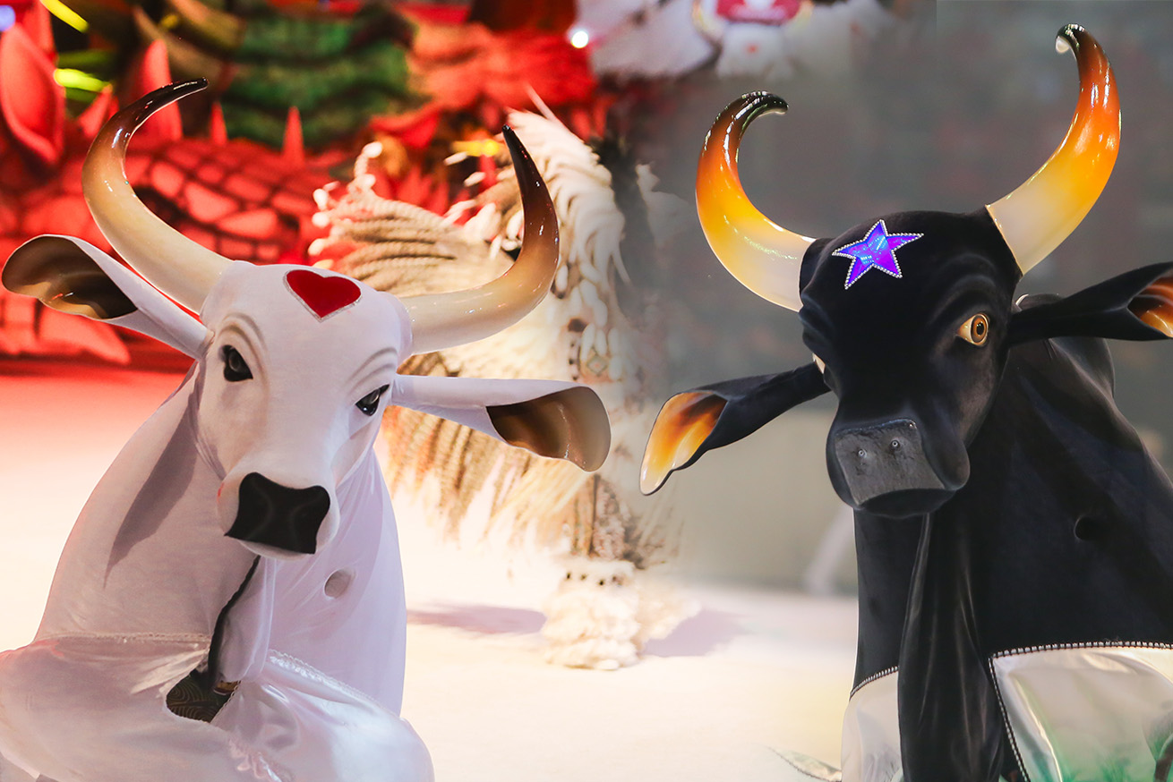 É hoje! Caprichoso abre e Garantido encerra a primeira noite do Festival de Parintins