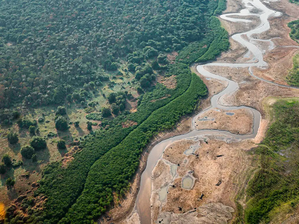 Floresta Amazônica tem mudado forma de enfrentar períodos de seca, aponta estudo