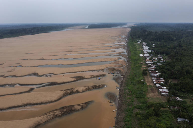 El Niño pode ter maior intensidade desde 1950 e causar maiores alterações climáticas na Amazônia
