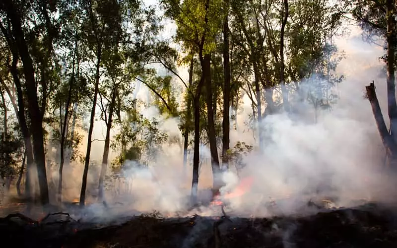Cidades do AM seguem com qualidade do ar “ruim” ou “muito ruim” por causa de fumaça