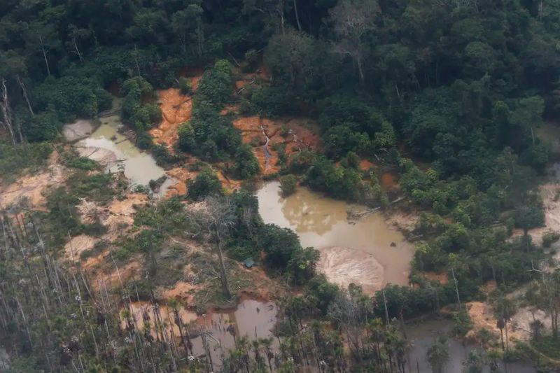 MPF volta a alertar sobre aumento do uso de cianeto em garimpos na Amazônia