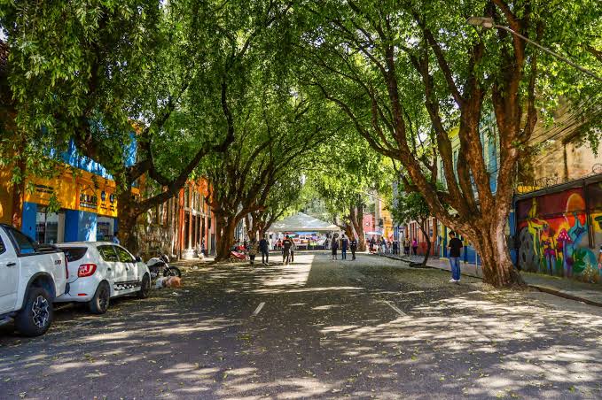 Prefeitura diz que irá manter árvores em novo projeto de Rua Gastronômica no Centro