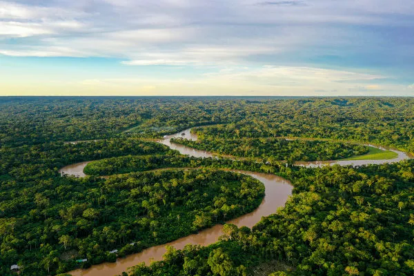 Nove países que abrigam floresta Amazônica se reúnem em agosto por melhorias para região