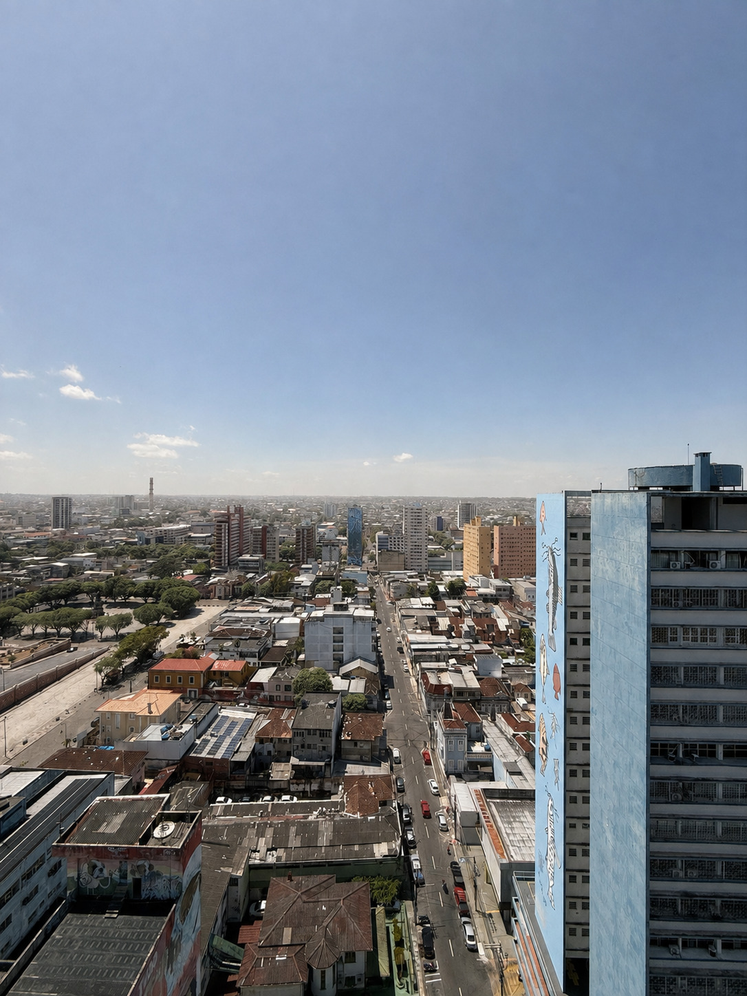 AM tem 16 cidades em alerta de perigo para baixa umidade do ar nesta terça-feira (18)