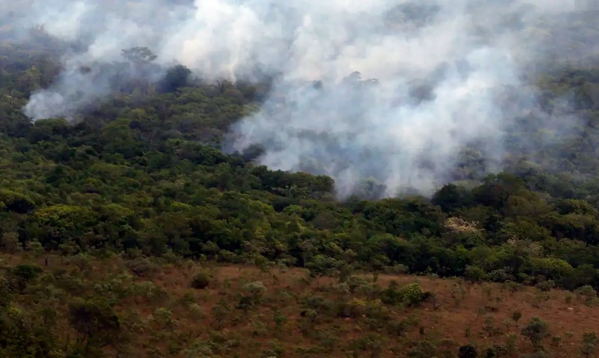 Cinco estados do norte estão em áreas prioritárias para prevenção de incêndios