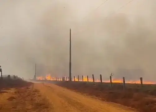 Com 960 registros, AM tem aumento de 20% nos focos de calor em agosto de 2026