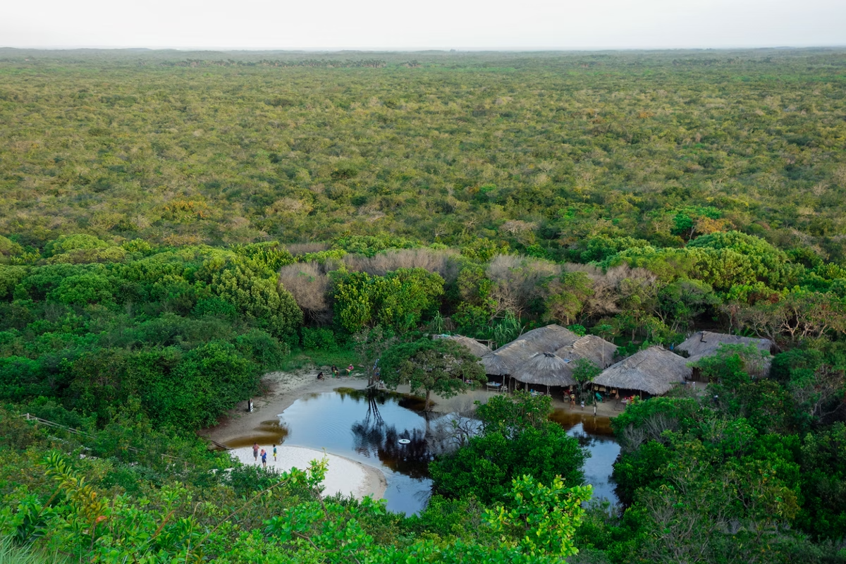 Imazon registra desmatamento zero em 60% das terras indígenas da Amazônia