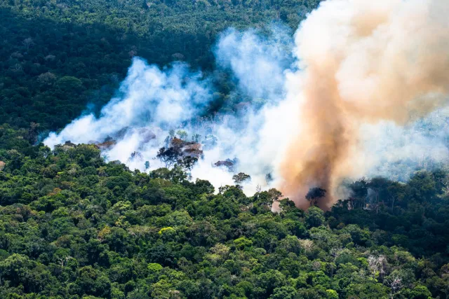 AM tem cidades com péssima qualidade do ar nesta terça-feira (1º) por causa de fumaça