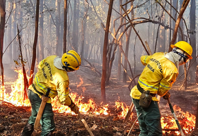 Defesa Civil emite novo alerta para risco de incêndios florestais em municípios do AM