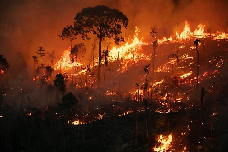 Amazônia registra alertas de incêndios graves em nove áreas da região