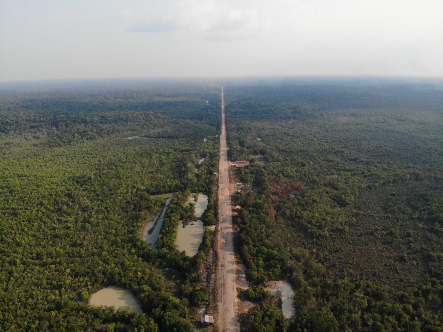 AM ganha quatro novas Reservas de Desenvolvimento Sustentável no entorno da BR-319