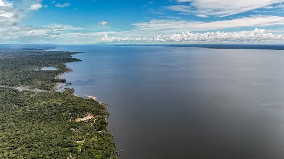 Bacia Amazônica abriga quase 15% das espécies de peixes conhecidas do mundo, aponta estudo