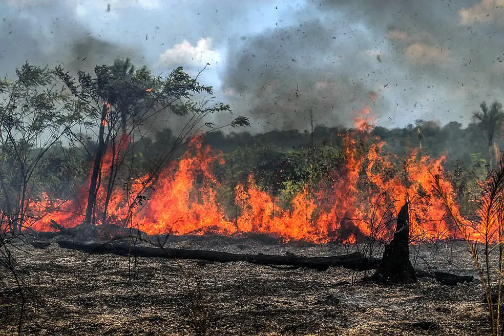 Cidades do sul do AM estão sob “alerta alto” do Governo Federal para queimadas