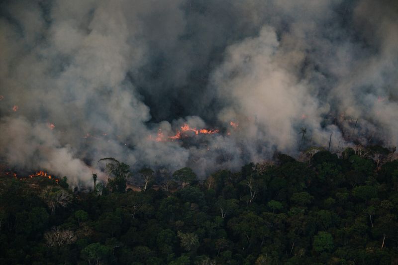 Unidades de conservação estaduais no AM superam áreas de proteção federais em focos de queimadas