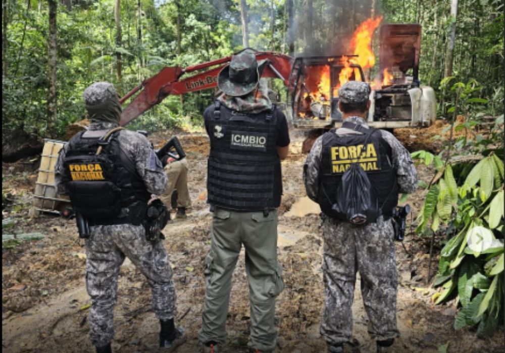Força Nacional vai atuar no combate a crimes ambientais na Amazônia e Manaus será base de operações