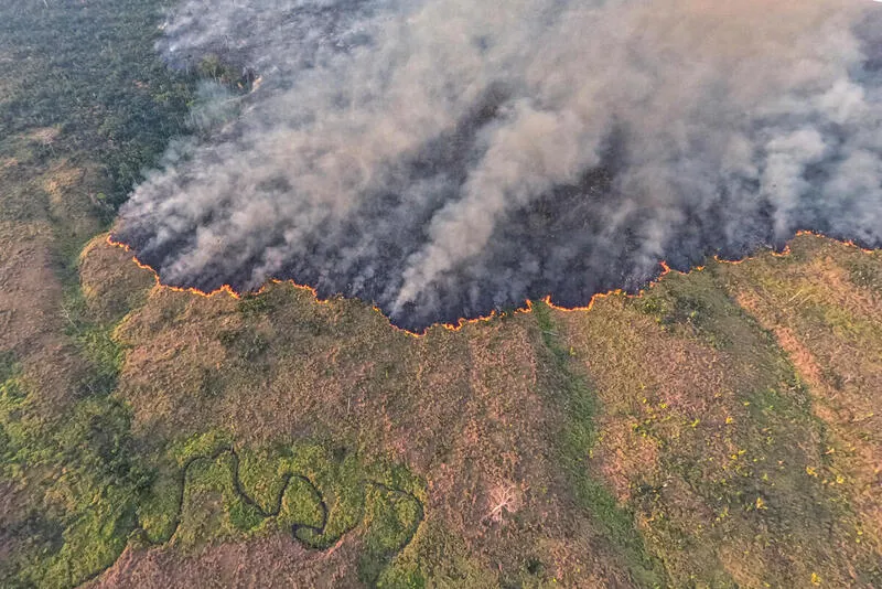 Amazônia tem segundo menor índice de desmatamento em oito anos, aponta Imazon