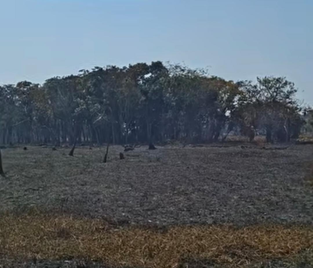 Após controlar incêndio, bombeiros fazem rescaldo em área de mata no Cacau Pirêra
