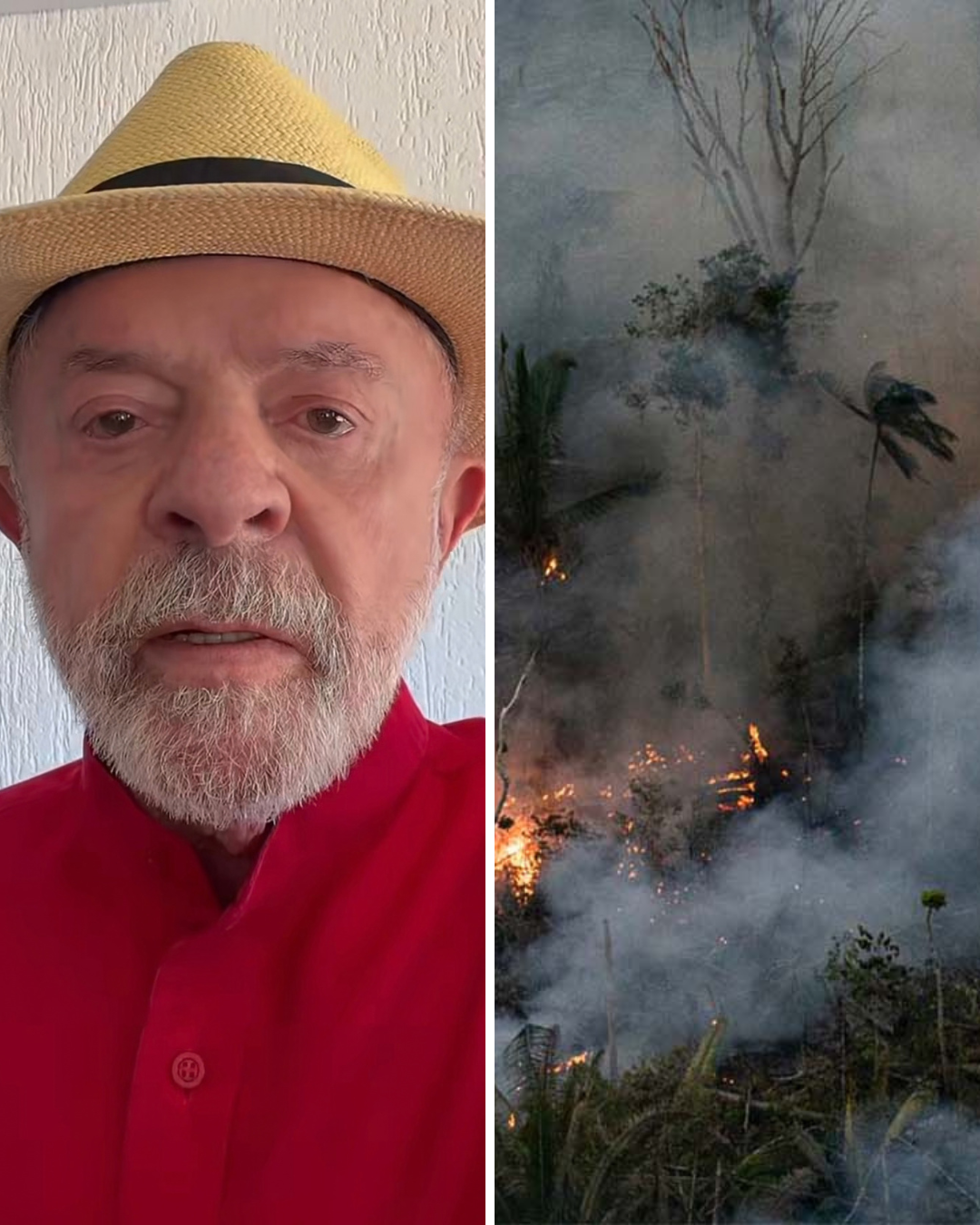 Presidente Lula anuncia reforço para combater queimadas no Amazonas