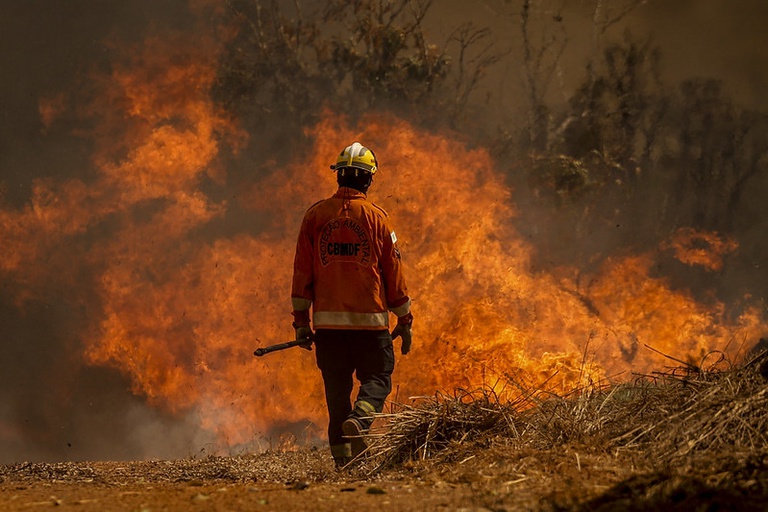Governo Federal reconhece emergência em 37 cidades do AM por incêndios florestais