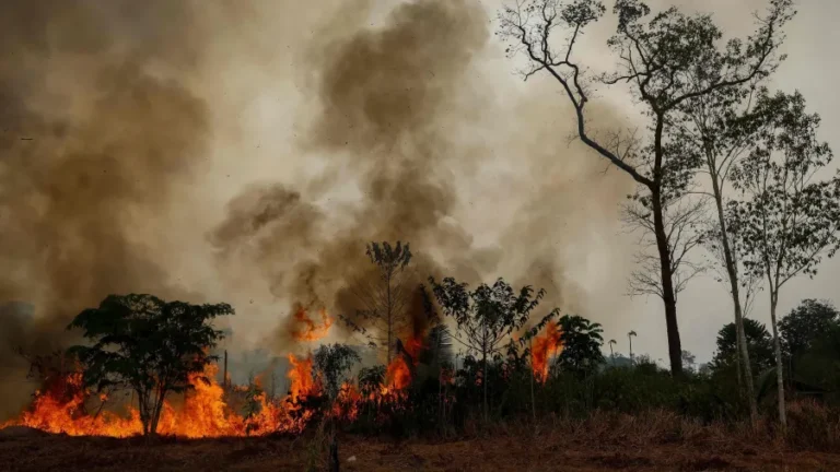Moradores de Autazes pedem socorro por causa do avanço do fogo