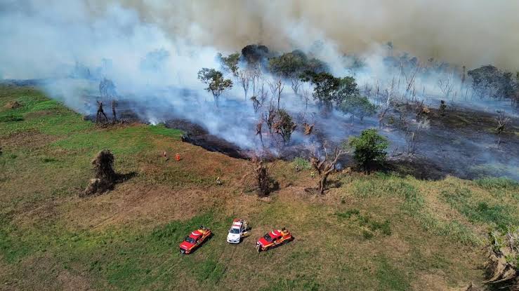 Ministro da Defesa coloca Forças Armadas para agir contra incêndios no Amazonas