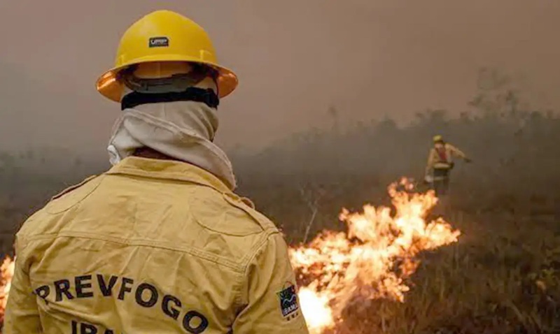 Forças de segurança investigam autores de queimadas no AM; 11 pessoas já foram presas