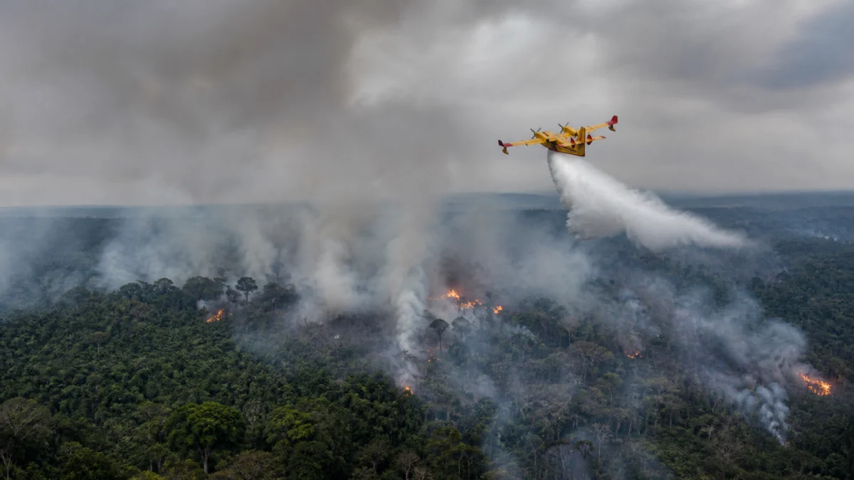 Governo Federal libera R$ 661 mil para Manaus combater seca e queimadas