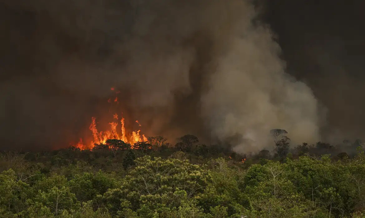 Ibama afirma que extinguiu 355 ocorrências de incêndios florestais no AM