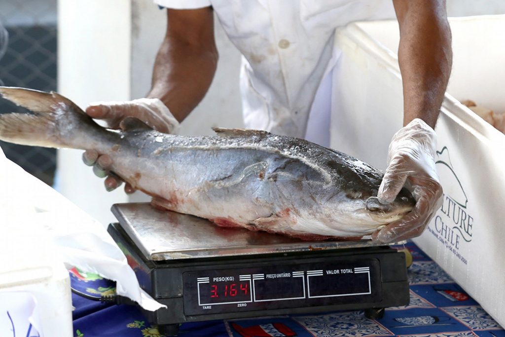 Restrição do consumo de peixe já causa prejuízos aos feirantes em Manaus