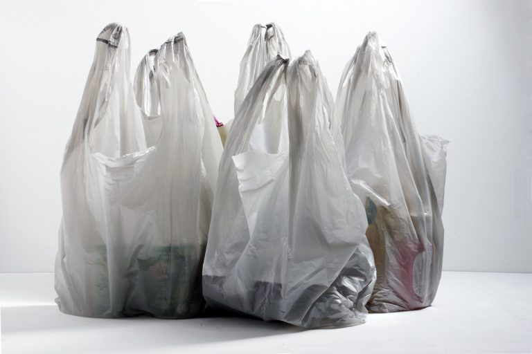 Restrição às sacolas plásticas em Manaus pode gerar 4 mil demissões no setor