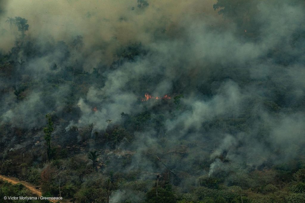 2021 já é o terceiro ano com o pior índice de queimadas registradas no Amazonas