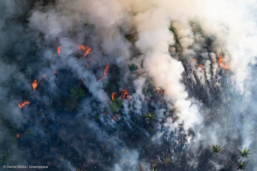 Ribeirinhos sofrem com queimadas ilegais no interior do Amazonas