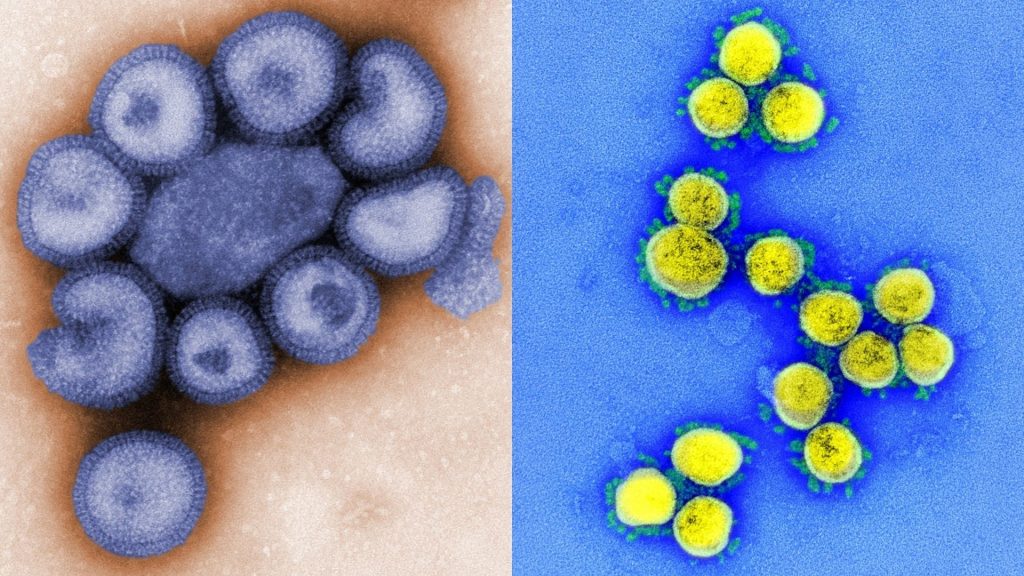 FVS-AM confirma mais quatro casos de coinfecção por Covid-19 e Influenza, nesta terça-feira (11)