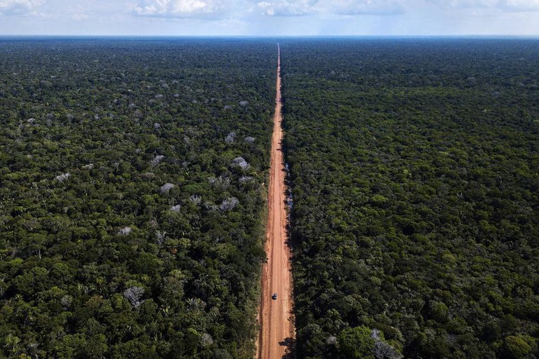 Em 11 anos, área de influência da BR-319 na Amazônia tem recorde de desmatamento
