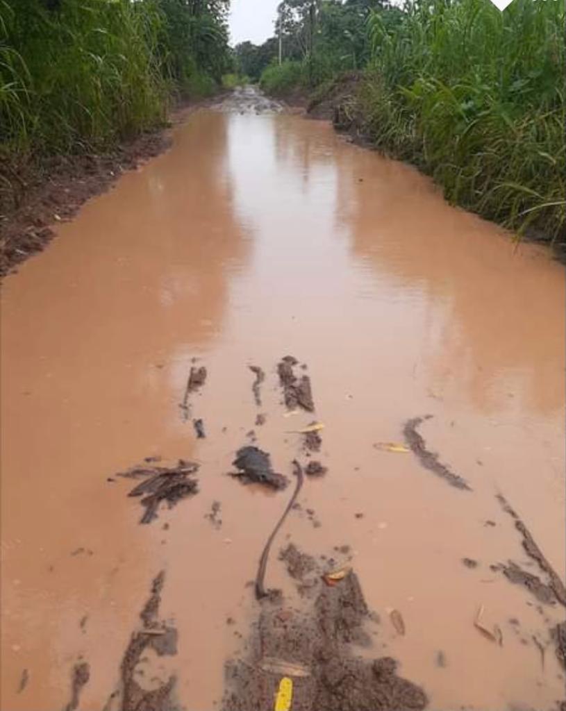 Produção agrícola de comunidade em Iranduba é afetada por causa de ramal em péssimas condições