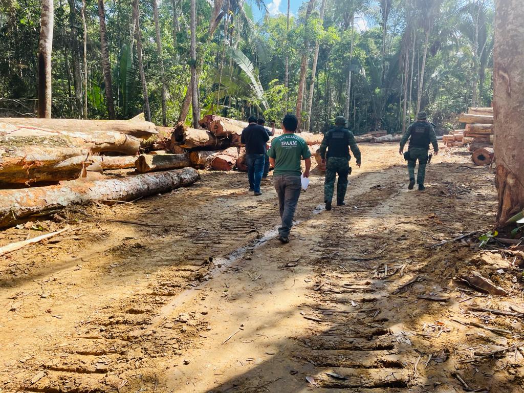 Para combater desmatamento no Amazonas, operação Tamoiotatá 2 é antecipada em dois meses e deve começar nos próximos dias.