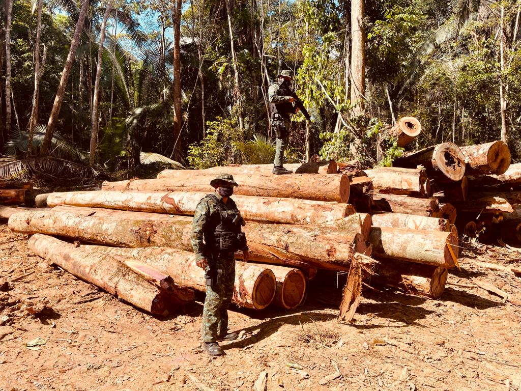 Para combater desmatamento no Amazonas, operação Tamoiotatá 2 é antecipada em dois meses e deve começar nos próximos dias.