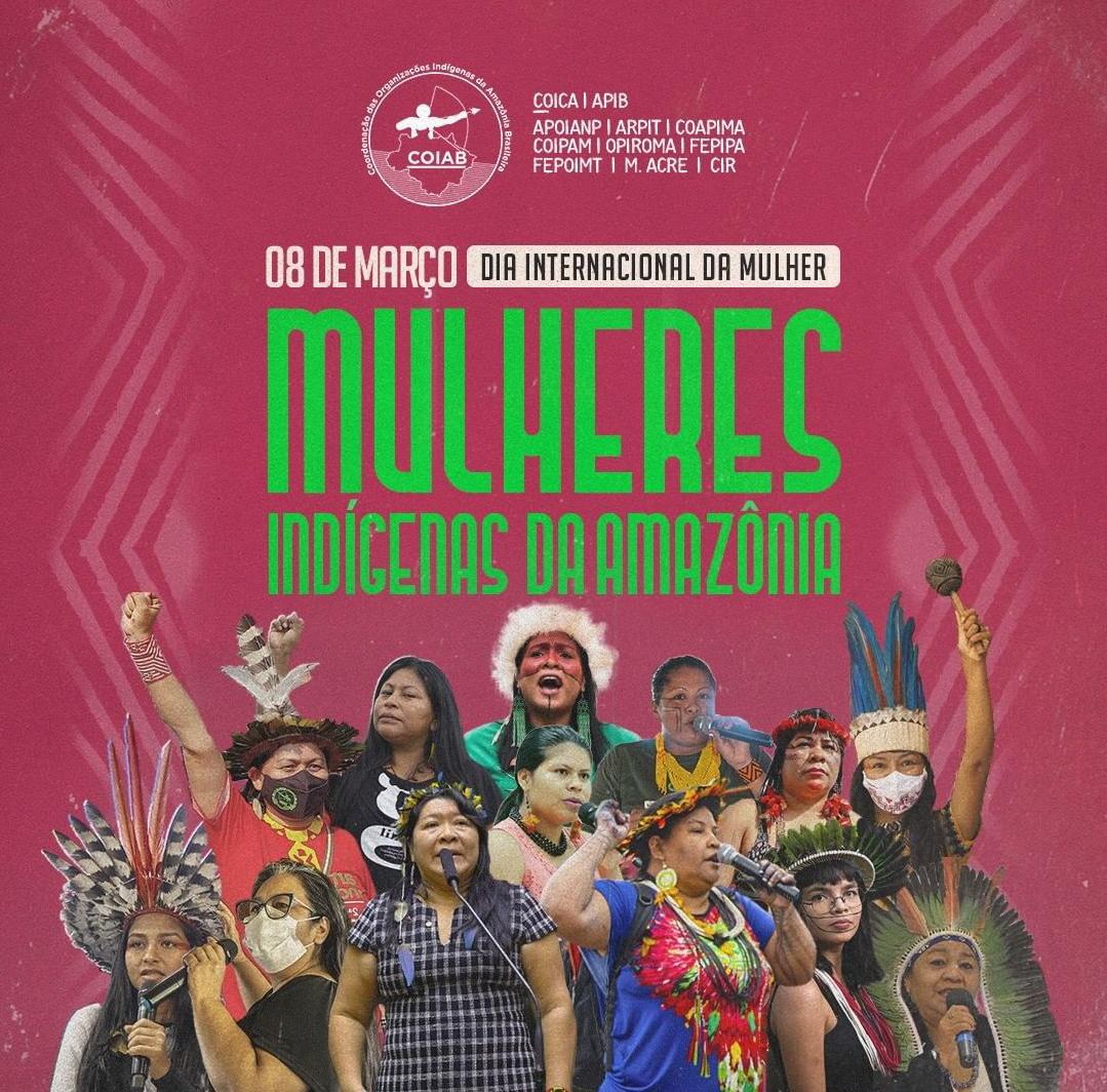 Rosiene Carvalho L Dia Internacional Das Mulheres é Marcado Pela 1a Marcha De Mulheres Indígenas 