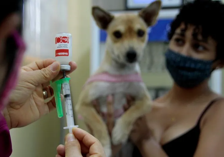 Região fluvial de Manaus recebe campanha de vacinação antirrábica