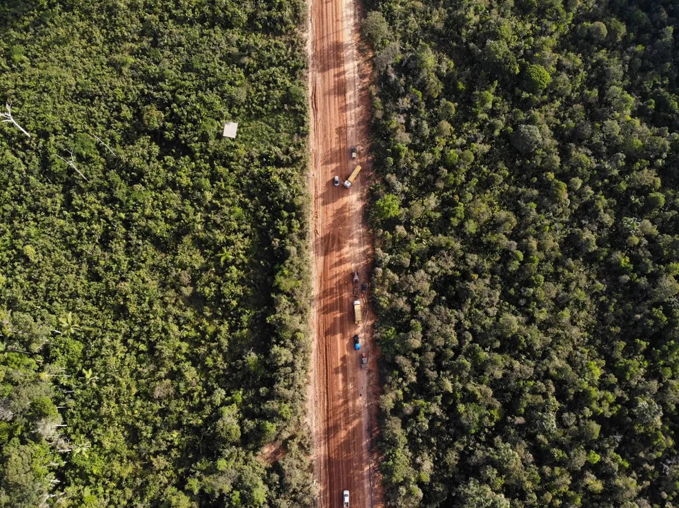 Abertura de ramais na BR-319 nos últimos 5 anos contribuiu para o aumento do desmatamento