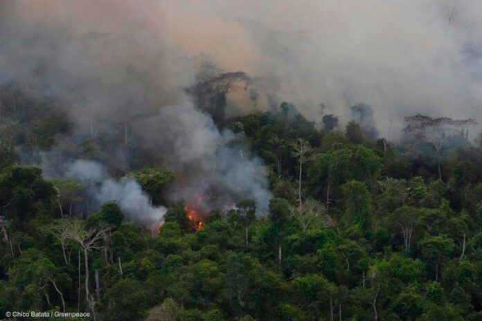 Centro de comando é reativado em Apuí para combater queimadas no Sul do Amazonas