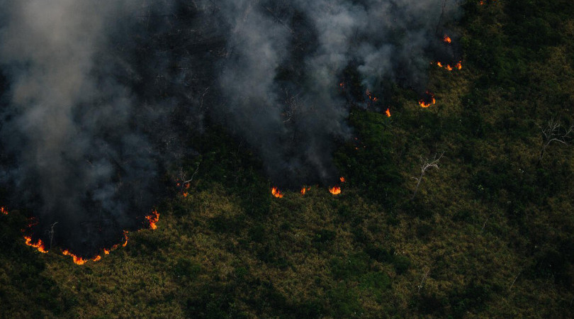 Amazonas tem em 15 dias de agosto maior quantidade de focos de queimadas no ano