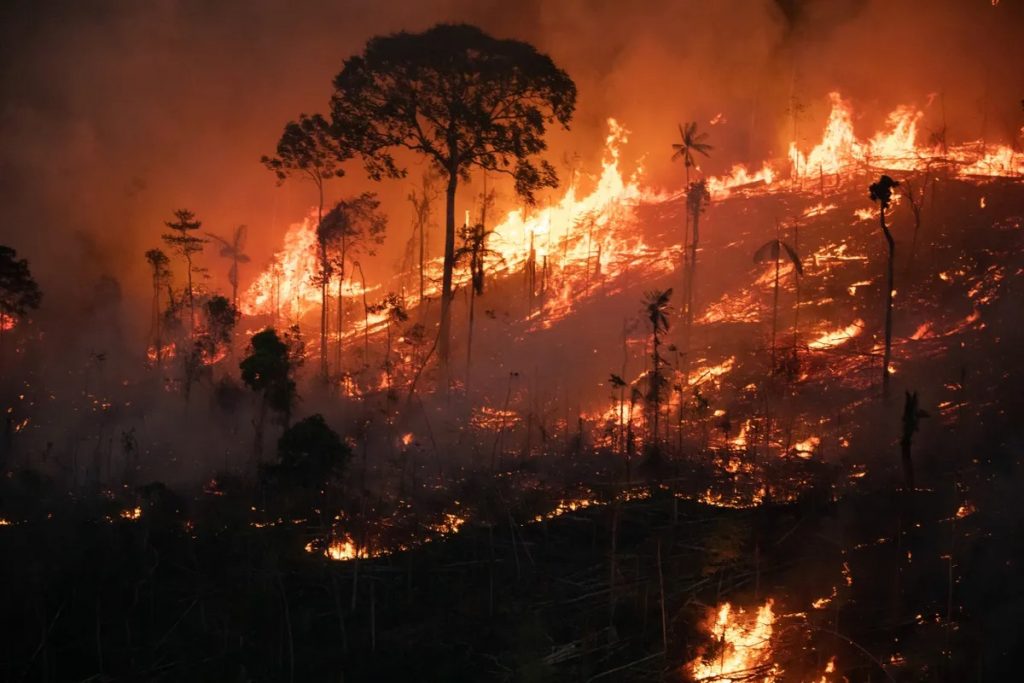 Foto: Nilmar Lage/Greenpeace/Divulgação